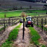 I passi necessari per diventare imprenditore agricolo
